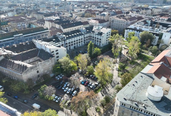 Kotelezo foto_4 (1).jpg