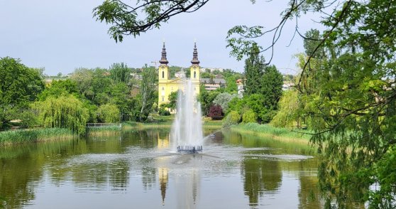 484852800_1054121713414750_8994375270641795980_n (1).jpg