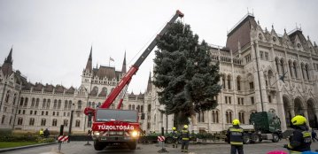 DBZOL20251124013 (1).jpg