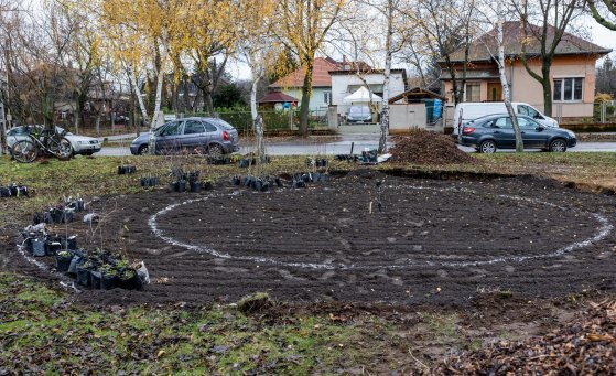 595710606_1290821189755782_953121355088287659_n (1).jpg