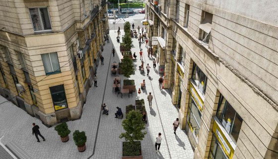 revay_koz_latvany (2).jpg