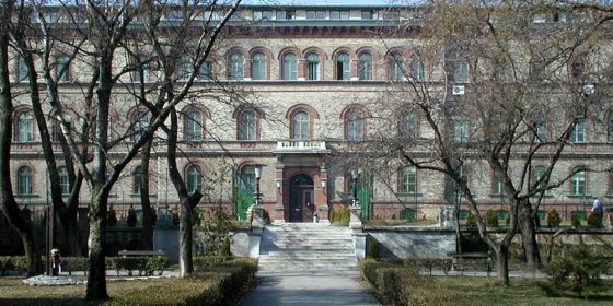 157164_testnevelesi.jpg