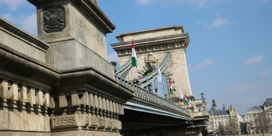 160084_lanchid.jpg