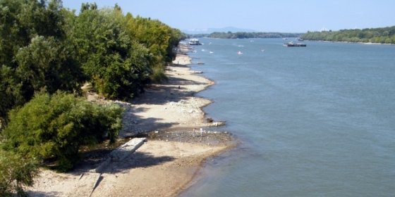 164012_romai.jpg