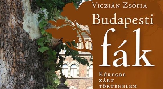 172609_budapesti_fak1_ny.jpg
