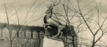 173123_csodaszarvas1.jpg