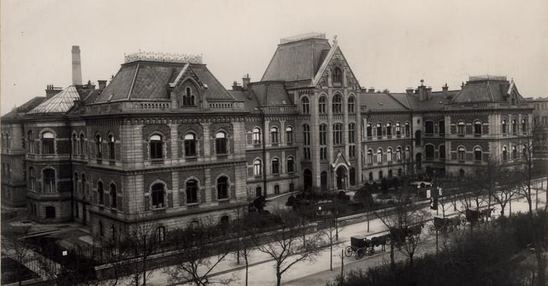 174631_sote_boritokep_3_.jpg