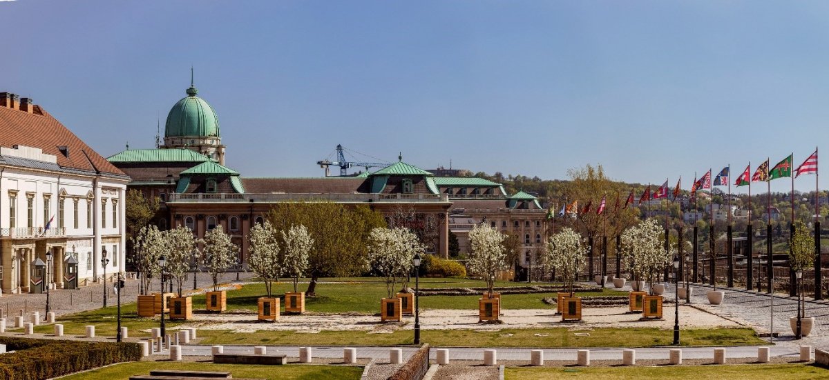 174874_zoldvar1.jpg