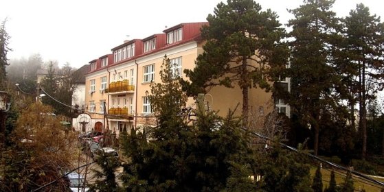 175570_161869_szent_ferenc.jpg